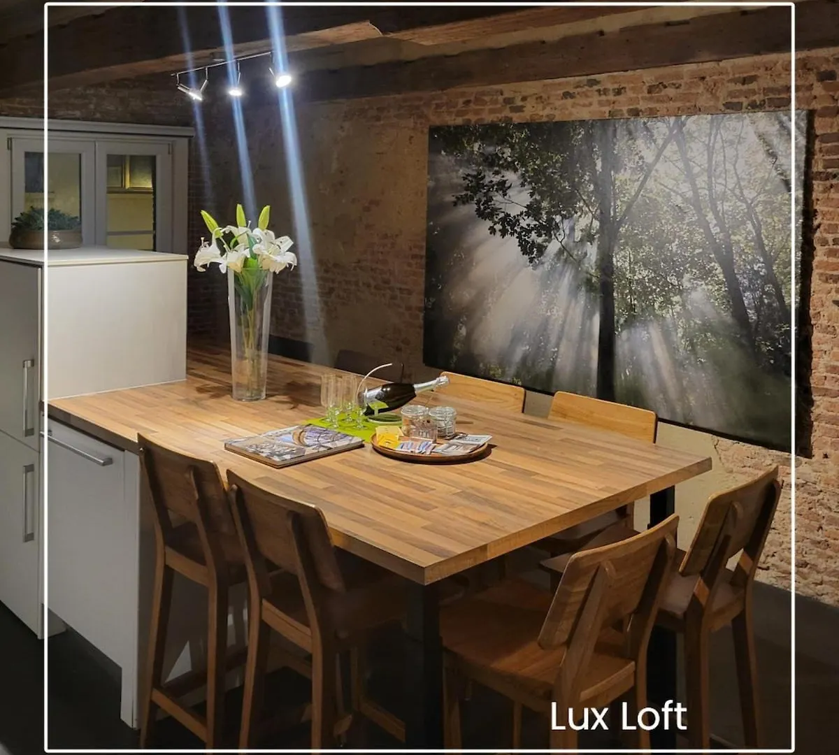 Lux Loft In The Heart Of Historic Antwerp Apartment