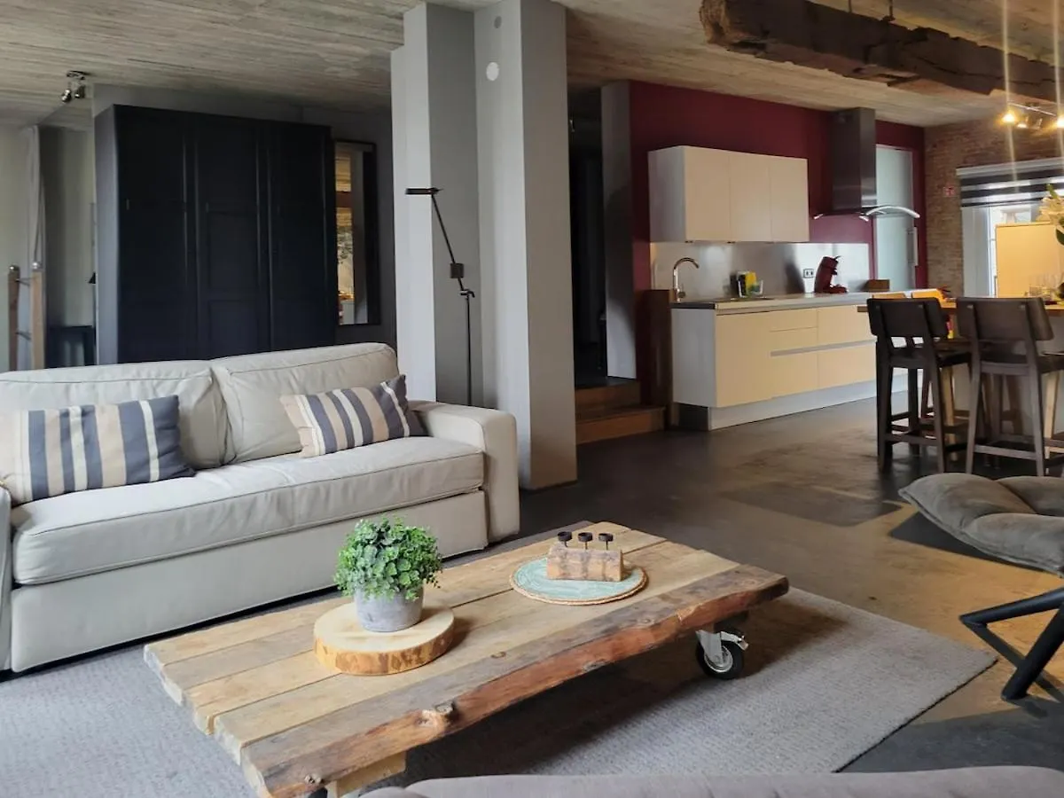 Lux Loft In The Heart Of Historic Antwerp Apartment 0*,  Belgium